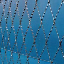 Плоское колючее ленточное заграждение (ПКЛЗ) «Акация» Плоское колючее ленточное заграждение (ПКЛЗ) «Акация»